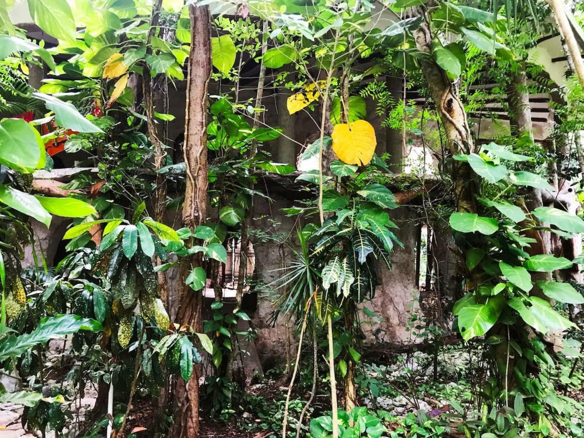 Portal Xibalba Hotel Playa del Carmen Exterior photo